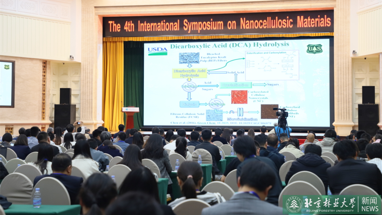 中心承办第四届纳米纤维素材料国际会议.png